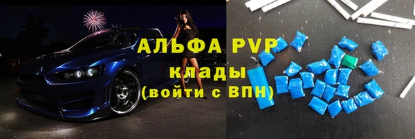 прущие грибы Новокубанск