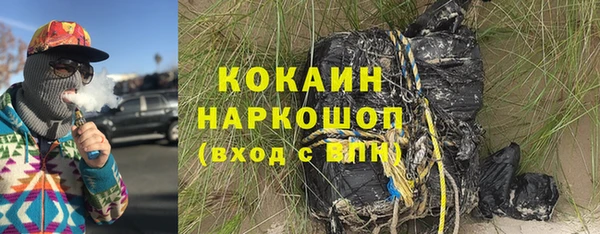 спайс Няндома