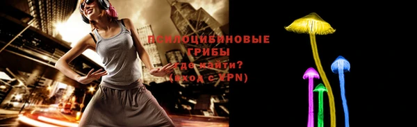 спайс Няндома
