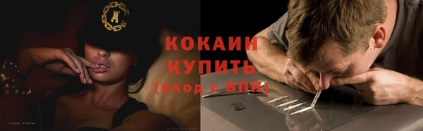 спайс Няндома