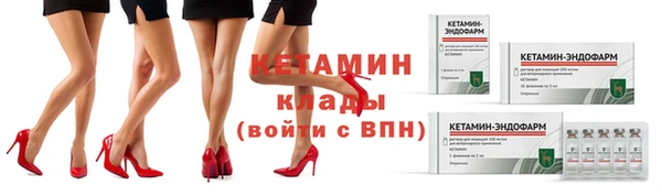 трава Новозыбков
