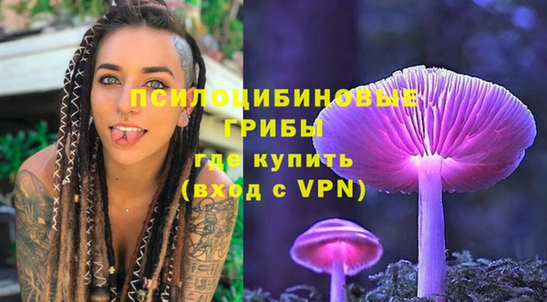 MDMA Новодвинск