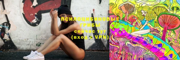 трава Новозыбков