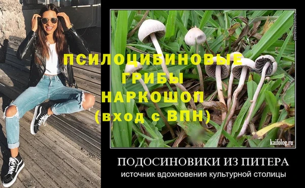 спиды Нягань
