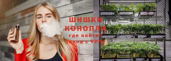 MDMA Новодвинск