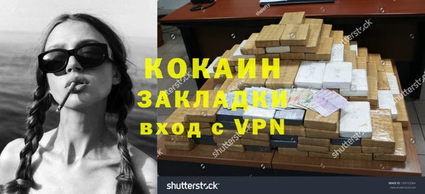 прущие грибы Новокубанск
