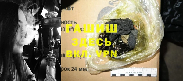 прущие грибы Новокубанск