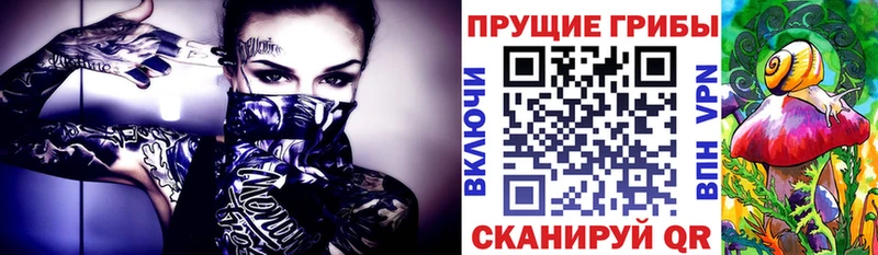Псилоцибиновые грибы Psilocybe  Лабинск 