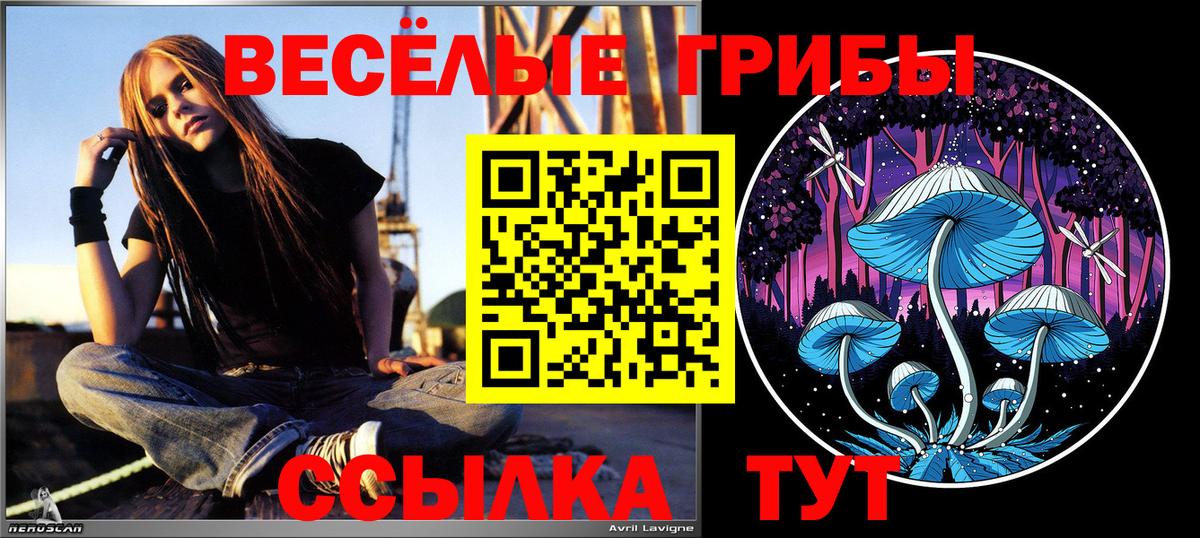 Псилоцибиновые грибы ЛСД  Псилоцибиновые грибы MAGIC MUSHROOMS  Лабинск 