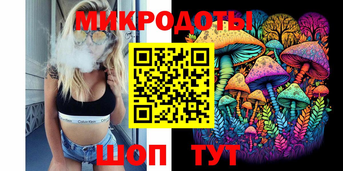 Псилоцибиновые грибы Psilocybe Лабинск