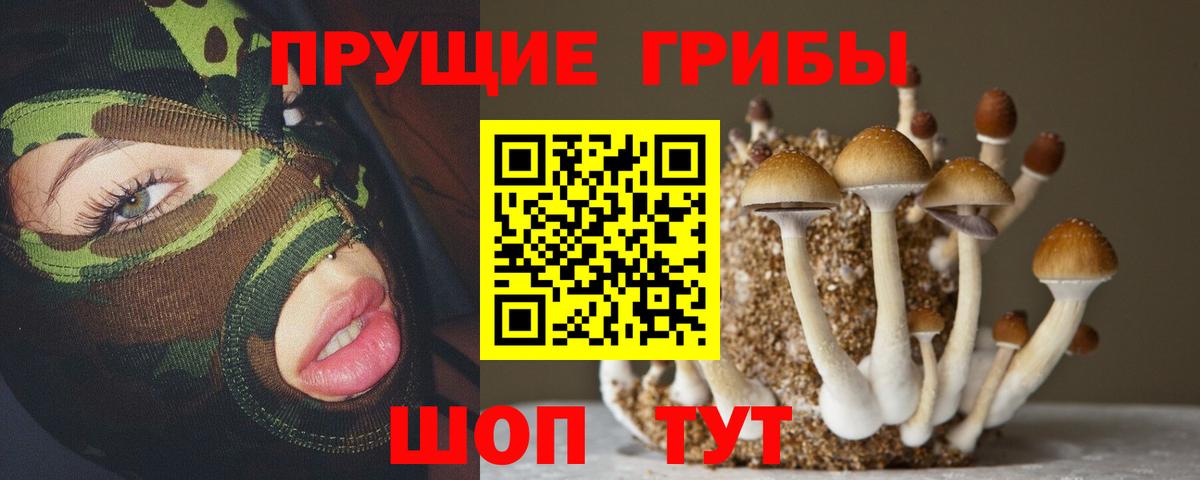 Лабинск  Псилоцибиновые грибы мицелий  Вход с VPN 